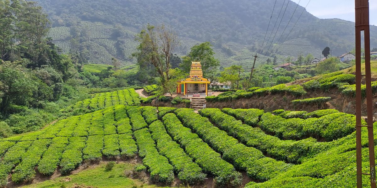 Natural Wonders of Tamil Nadu